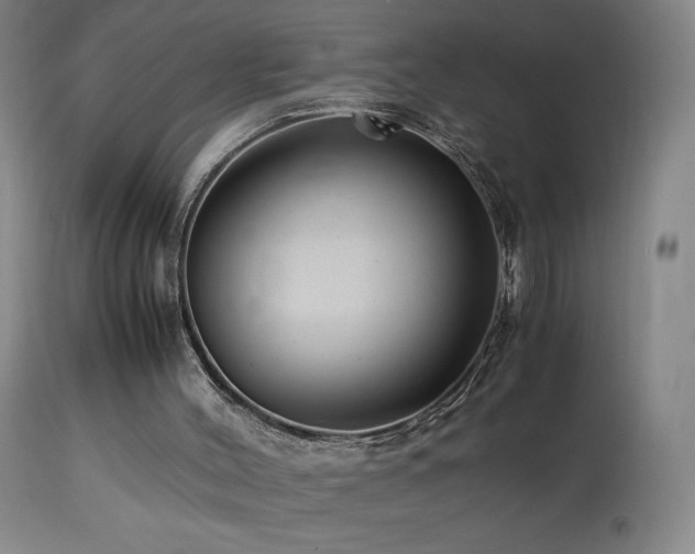 X0000113990004200910021234