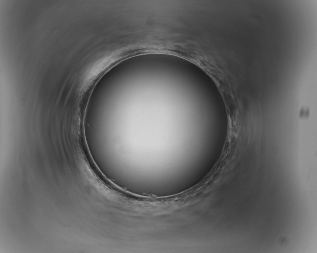 X0000113990005200910021234