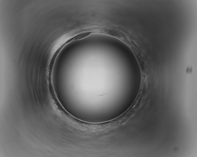 X0000113990006200910021234