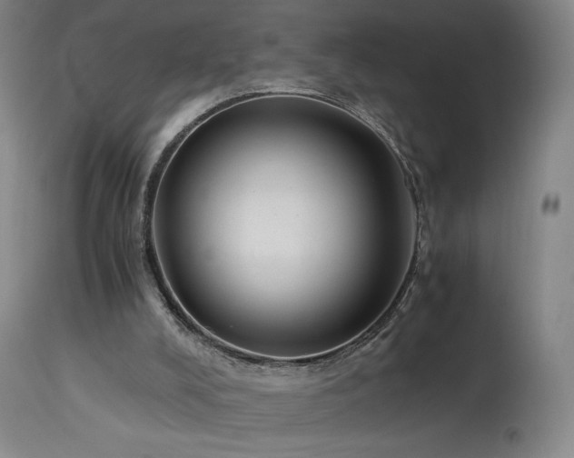 X0000113990008200910021234