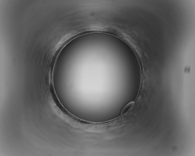 X0000113990011200910021234