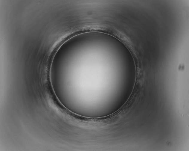 X0000113990012200910021234