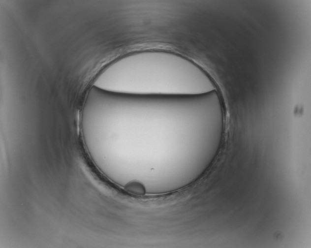 X0000113990013200910021234