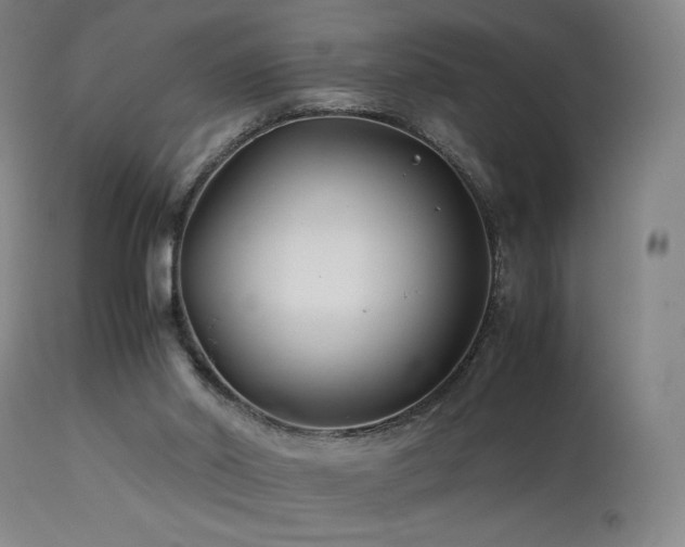 X0000113990014200910021234