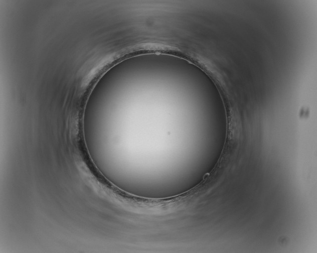 X0000113990015200910021234