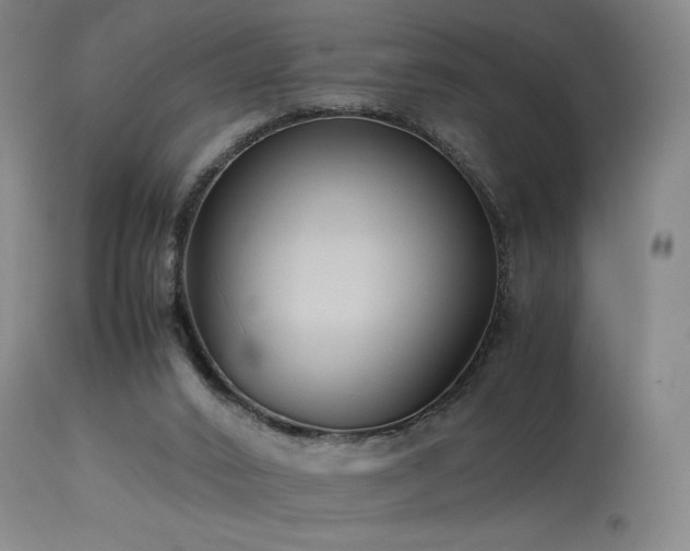 X0000113990016200910021234