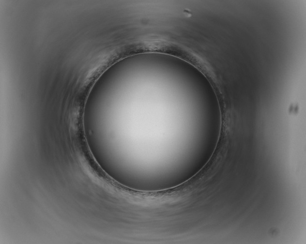 X0000113990018200910021234