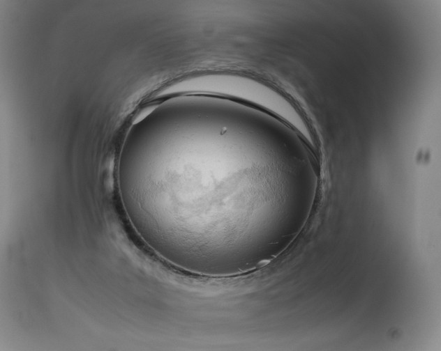 X0000113990019200910021234