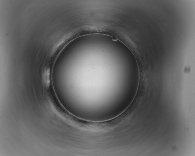 X0000113990020200910021234