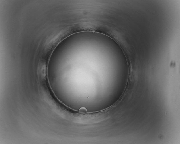 X0000113990021200910021234