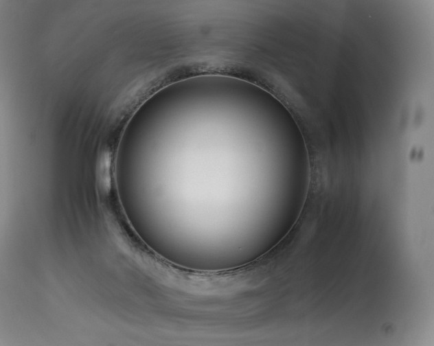 X0000113990022200910021234