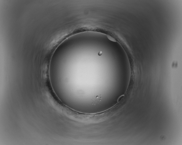 X0000113990023200910021234