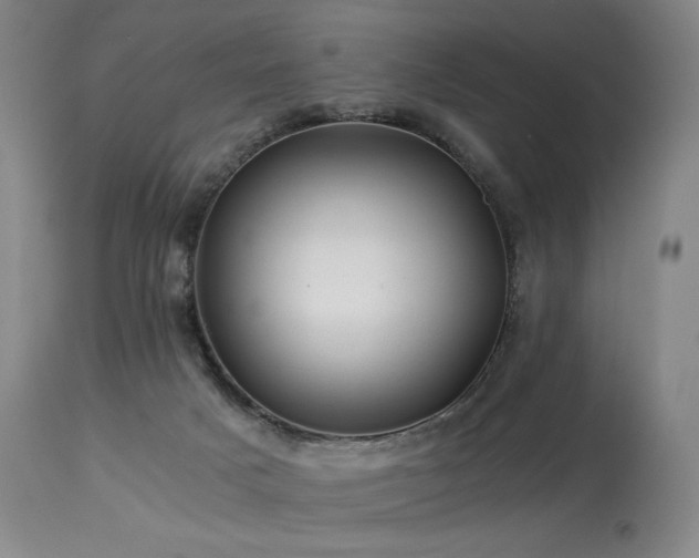 X0000113990025200910021234