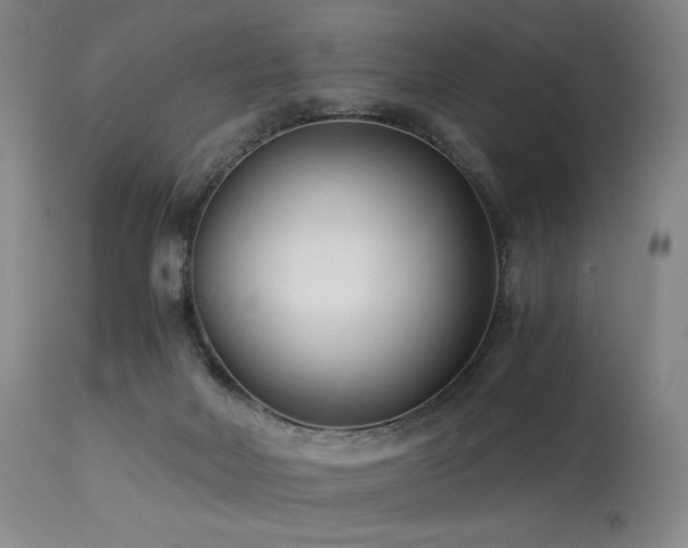 X0000113990026200910021234