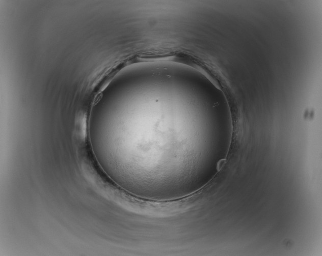 X0000113990027200910021234