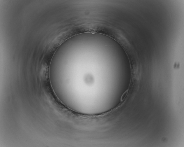 X0000113990029200910021234