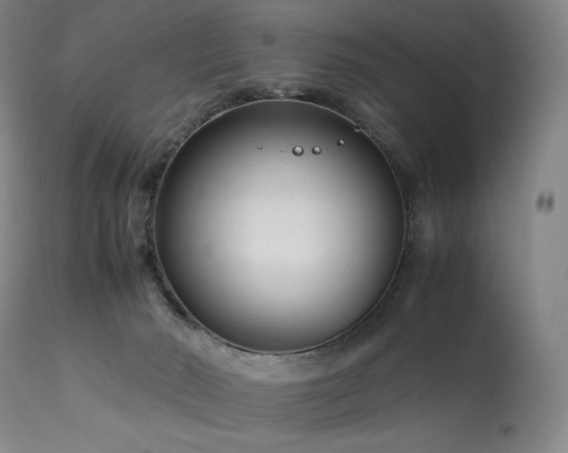 X0000113990030200910021234