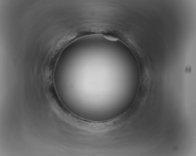 X0000113990031200910021234