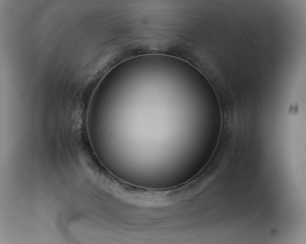 X0000113990032200910021234