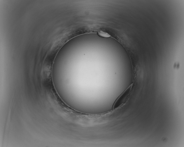 X0000113990033200910021234