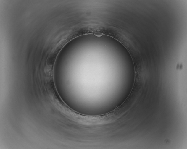 X0000113990034200910021234