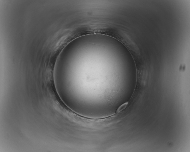 X0000113990035200910021234