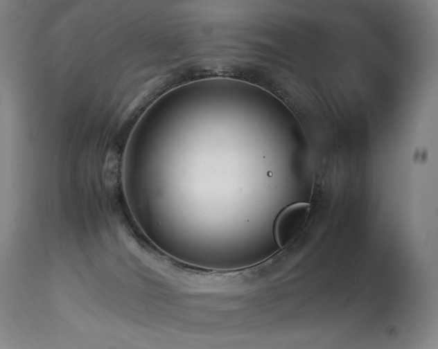 X0000113990036200910021234