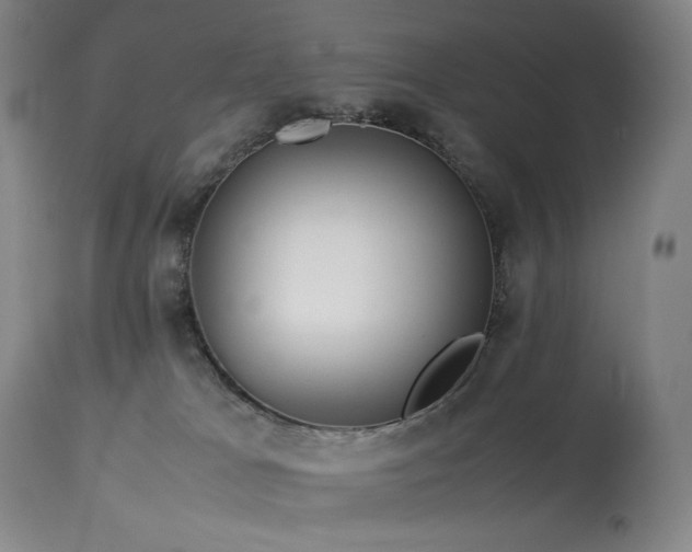 X0000113990037200910021234