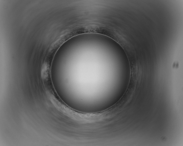 X0000113990038200910021234