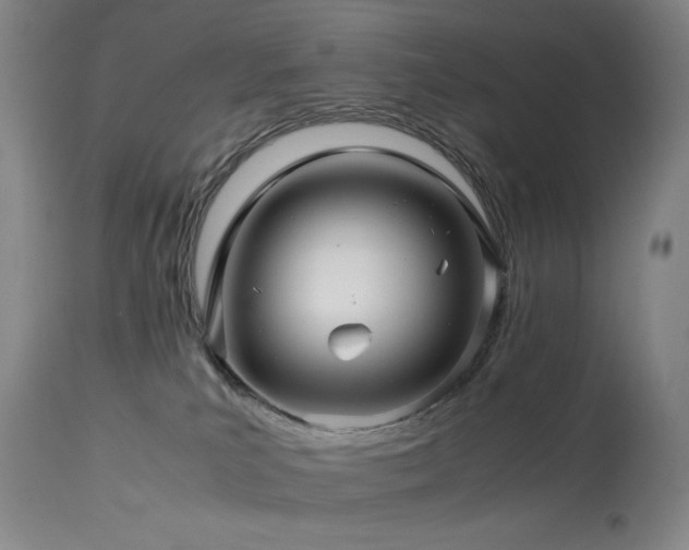 X0000113990039200910021234