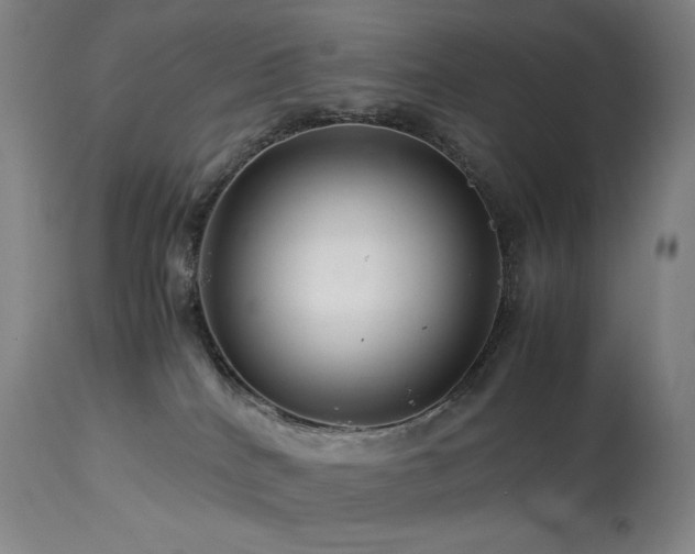 X0000113990040200910021234