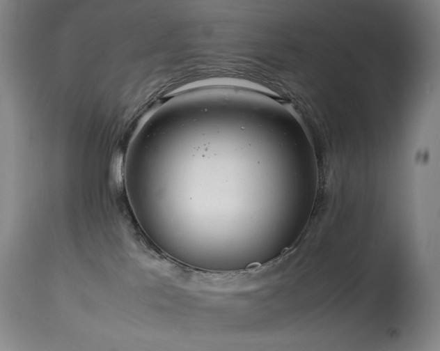 X0000113990041200910021234