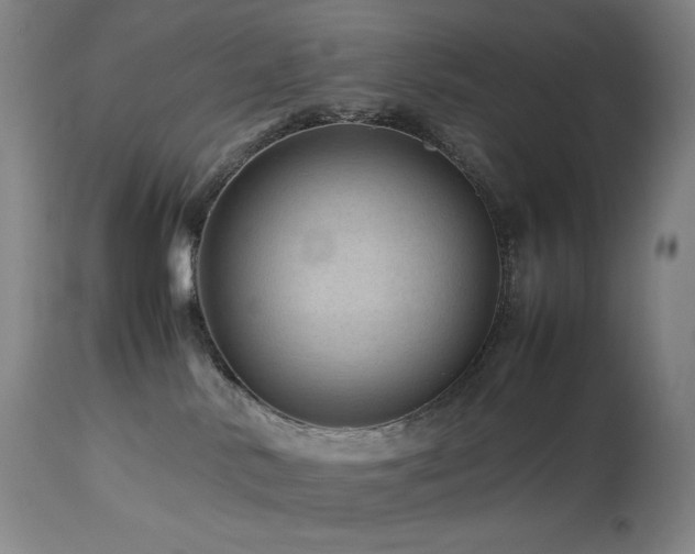 X0000113990042200910021234