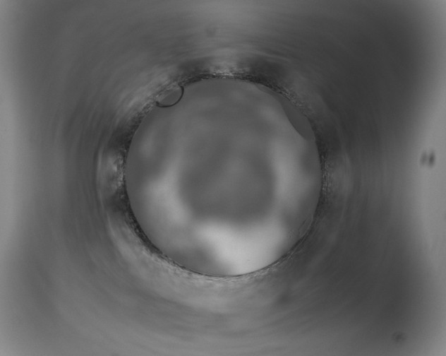 X0000113990043200910021234