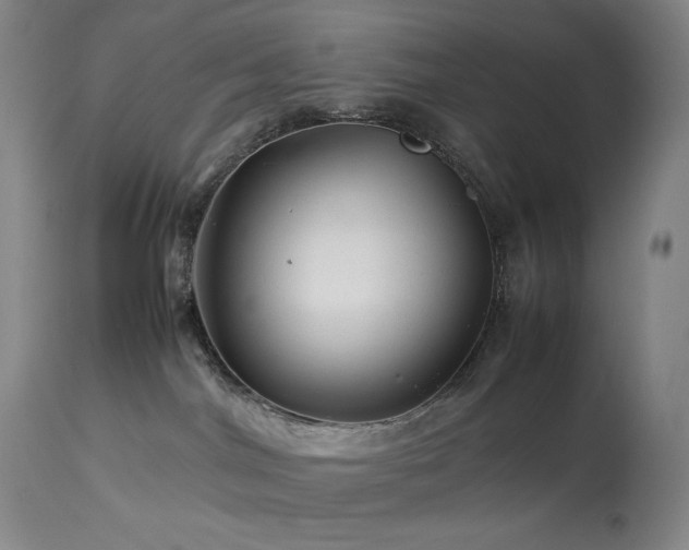 X0000113990044200910021234