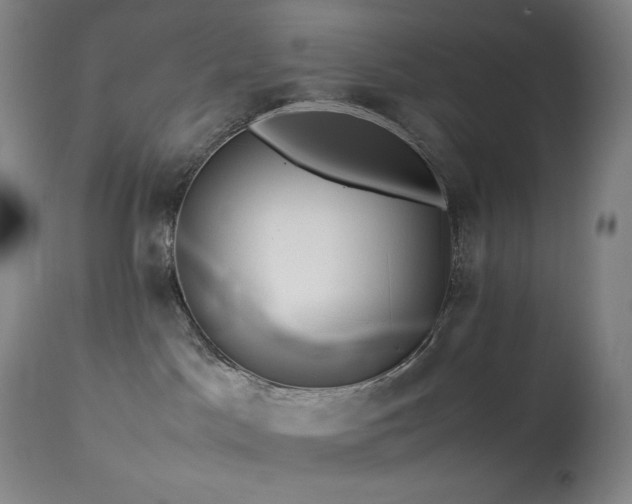 X0000113990045200910021234