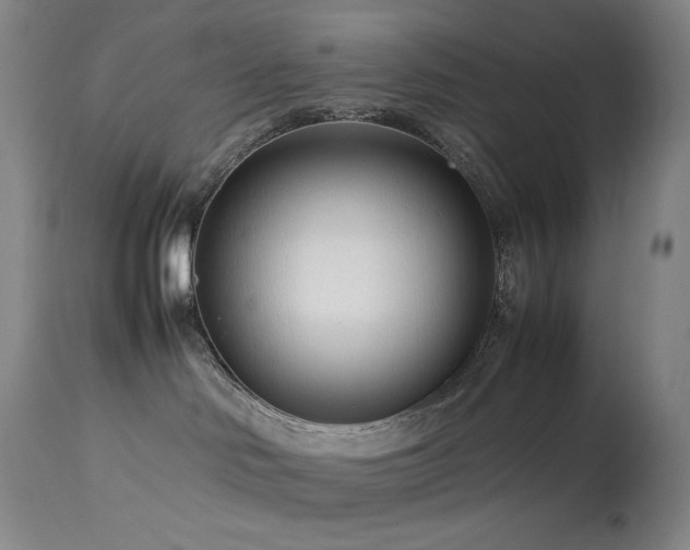 X0000113990046200910021234