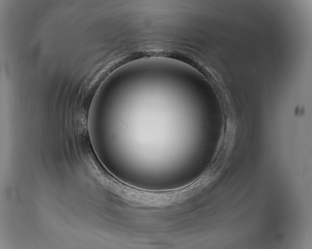 X0000113990048200910021234