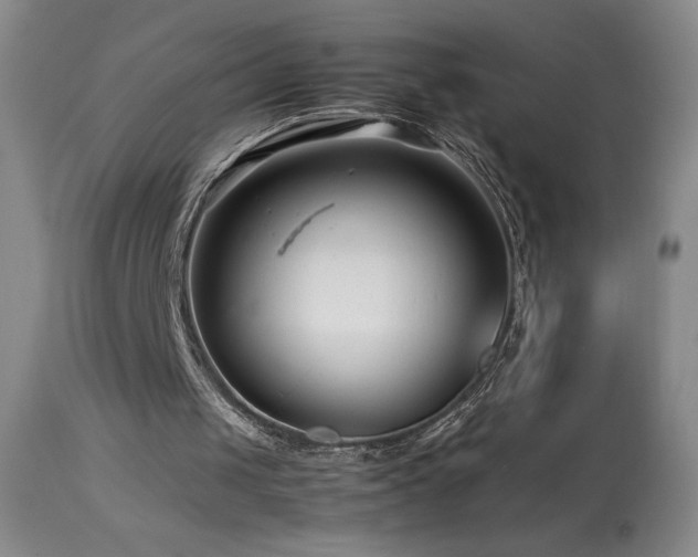 X0000113990049200910021233