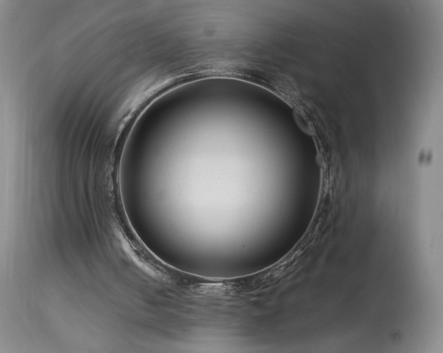 X0000113990050200910021233