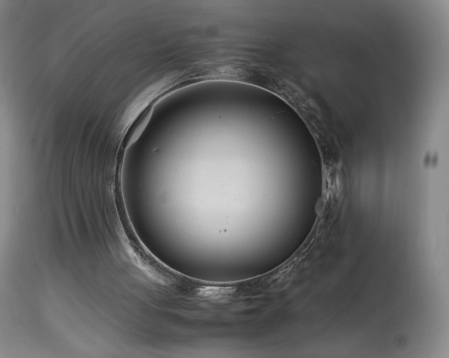 X0000113990051200910021233