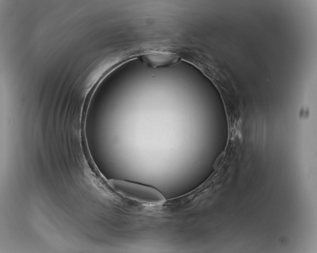 X0000113990052200910021233