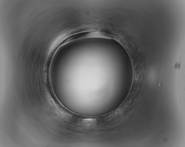 X0000113990053200910021233