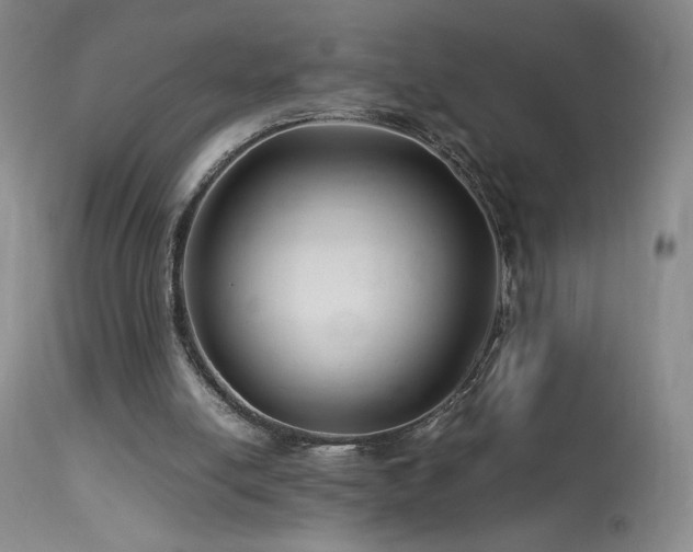 X0000113990054200910021233