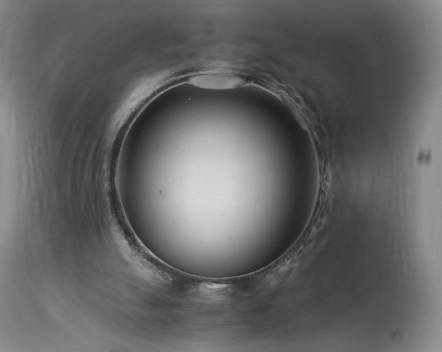 X0000113990055200910021233