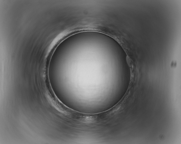 X0000113990056200910021233