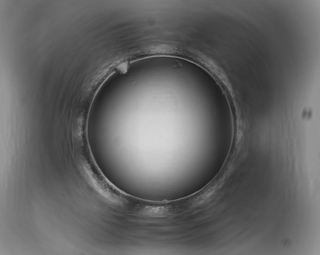 X0000113990057200910021233