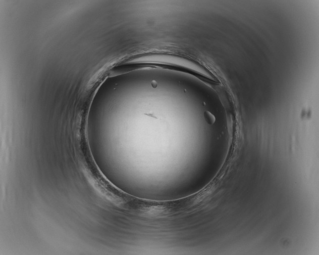 X0000113990058200910021233