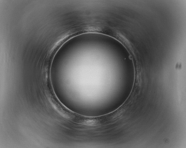 X0000113990059200910021233