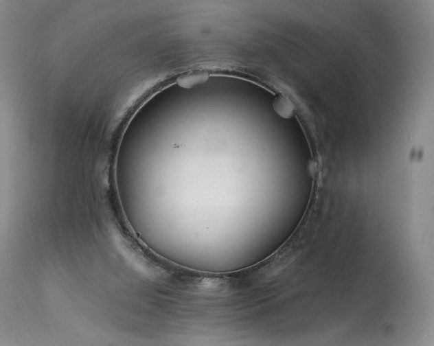 X0000113990060200910021233